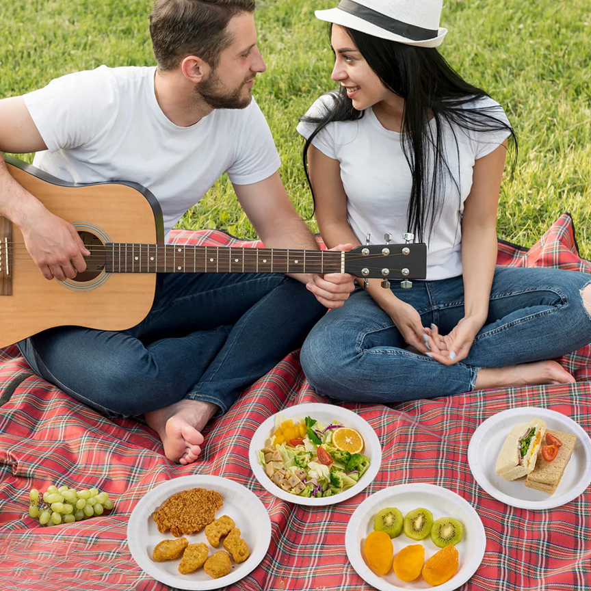 The Eco-Friendly Choice: Biodegradable Disposable Plates